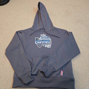 Milwaukee Brewers Hoodie Size Medium 2011 Central Division Champions Gray